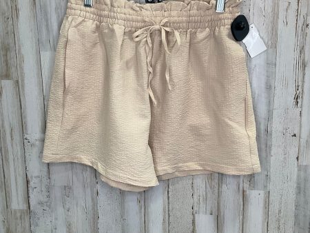 Brown Shorts Clothes Mentor, Size M Online