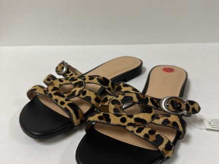 Sandals Designer By Coach  Size: 6.5 Hot on Sale