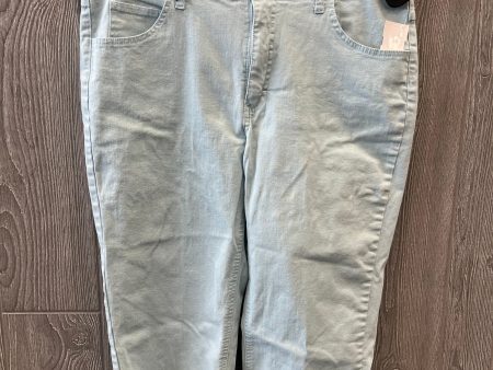 Blue Capris Riders, Size 16 Sale