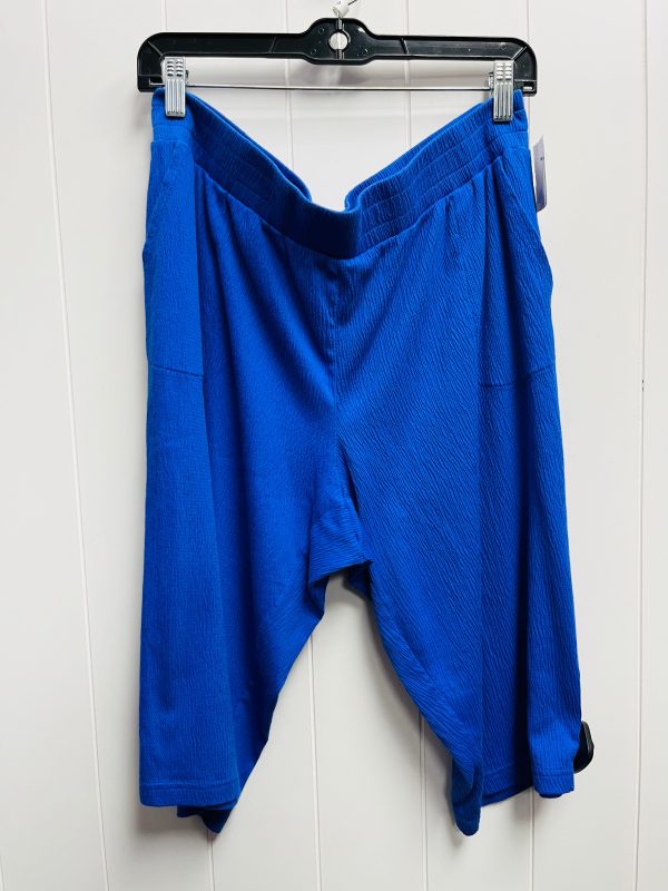 Blue Capris kim gravel  Size L Online now