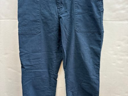 Pants Cargo & Utility By The North Face  Size: 10 Online Hot Sale