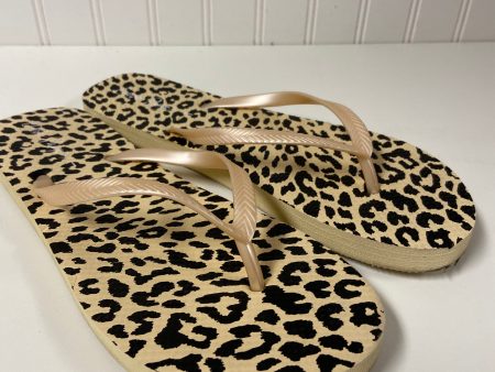 Animal Print Sandals Flip Flops Charlie Paige, Size 9 on Sale