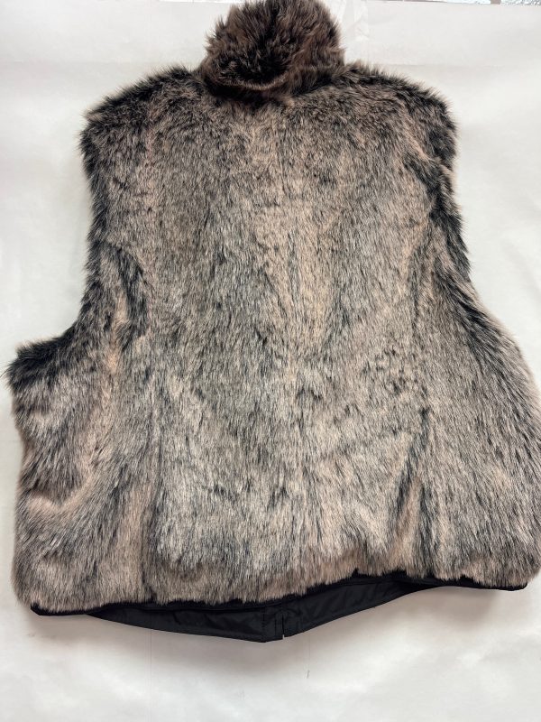 Vest Faux Fur & Sherpa By Clothes Mentor  Size: 3x Online now