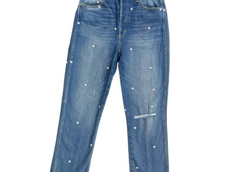 Blue Jeans Straight Amo, Size 29 Online now