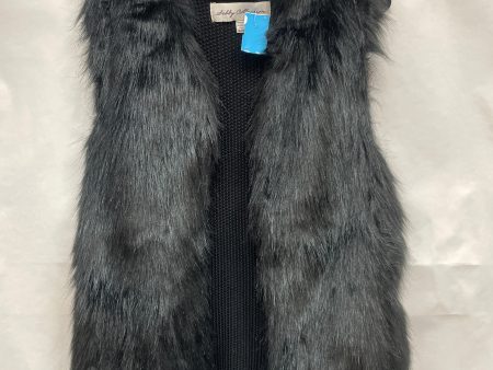 Vest Faux Fur & Sherpa By Clothes Mentor  Size: Xxl Discount