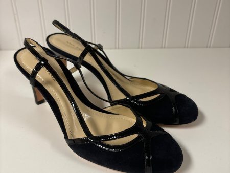 Black Shoes Heels Stiletto Ann Taylor, Size 6.5 Fashion