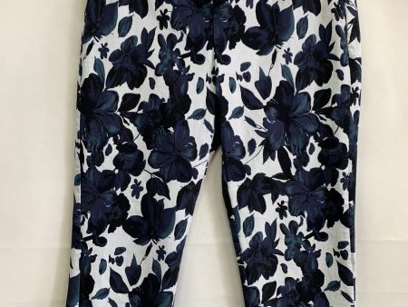 Capris By Eliane Rose  Size: 6 Supply