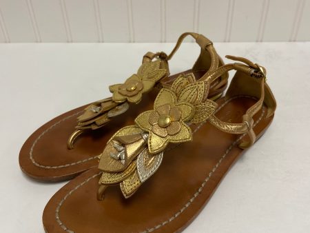 Gold Sandals Designer Coach, Size 7 For Cheap