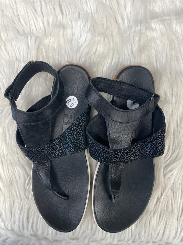 Black Sandals Flats Sorel, Size 8.5 Online