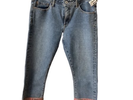 Blue Denim Jeans Boyfriend Pilcro, Size 10 Online