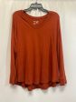 Brown Top Long Sleeve Terra & Sky, Size 2x Online Sale